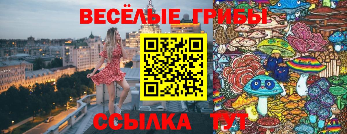 Псилоцибиновые грибы прущие грибы Новотроицк