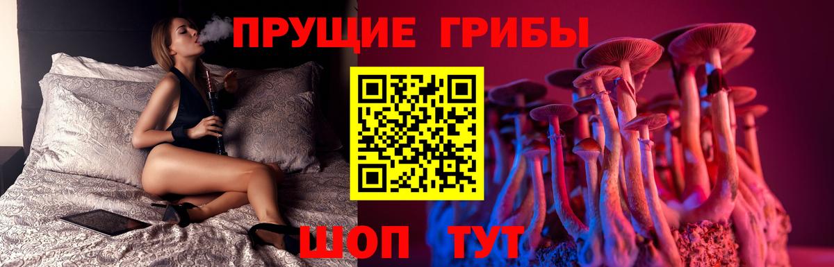 Псилоцибиновые грибы мицелий  Вход с VPN  Новотроицк 